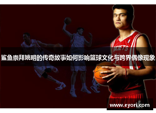 鲨鱼崇拜姚明的传奇故事如何影响篮球文化与跨界偶像现象