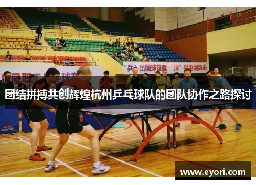 团结拼搏共创辉煌杭州乒乓球队的团队协作之路探讨
