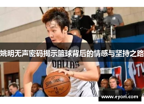 姚明无声密码揭示篮球背后的情感与坚持之路